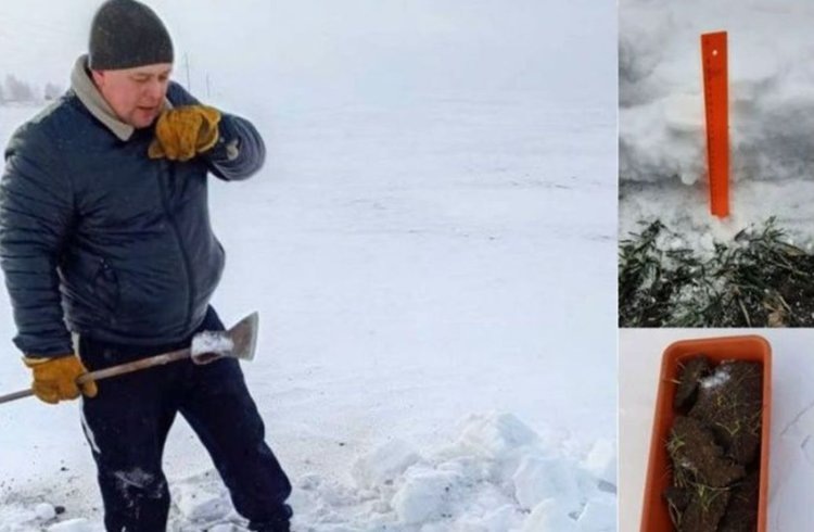    Озимые Челябинской области под урожай 2025: что посеяли и текущее состояние культур рассказывает Россельхозцентр