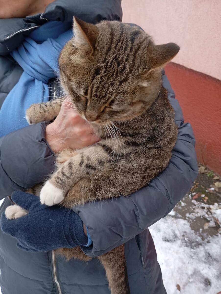 Ася на улице