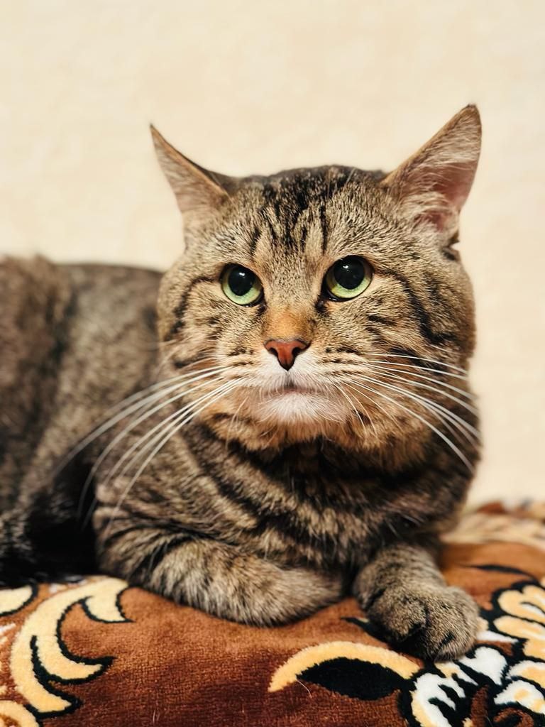 Наш Митя ( личное фото автора )