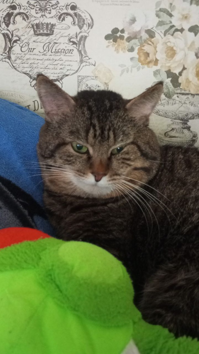 Наш Митя ( личное фото автора )