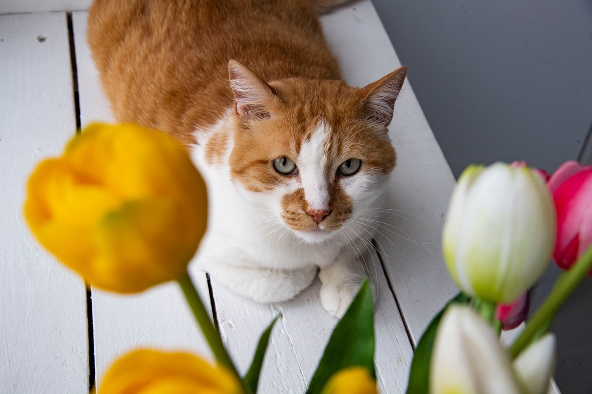 Весна пришла. 