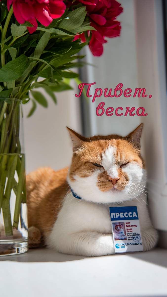 Самые замурчательные обои.