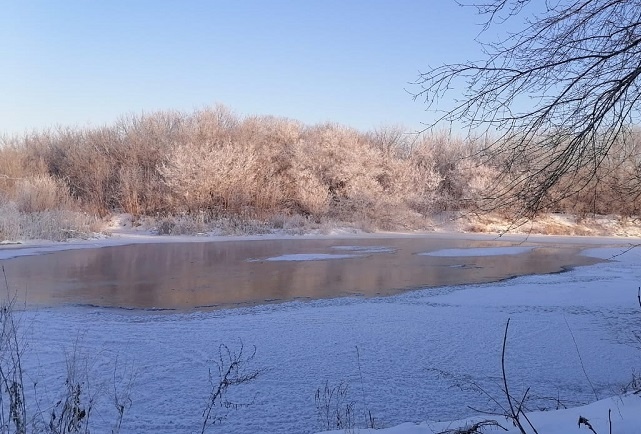 Фотография из личного архива автора