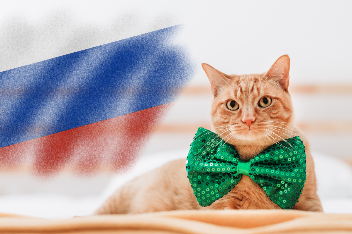 День кошек в России