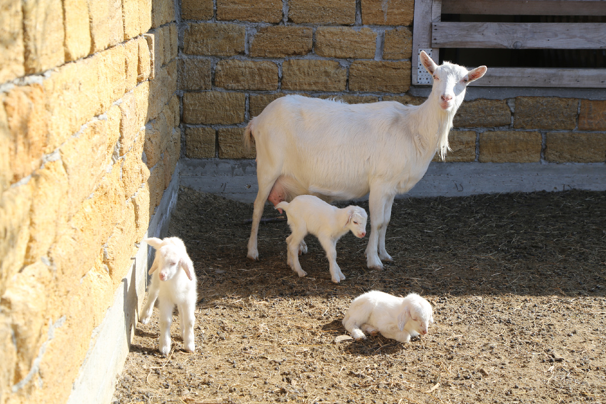 Рождённые вчера, 28.02.2025 г.