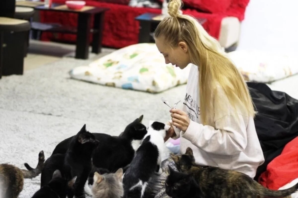    «Питомцы – это борьба с эгоизмом».