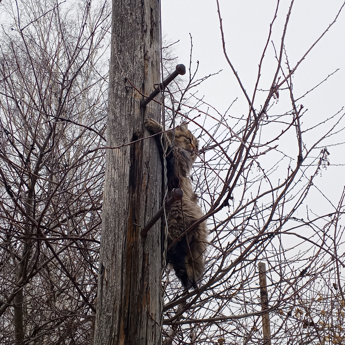 Кузя встречает весну