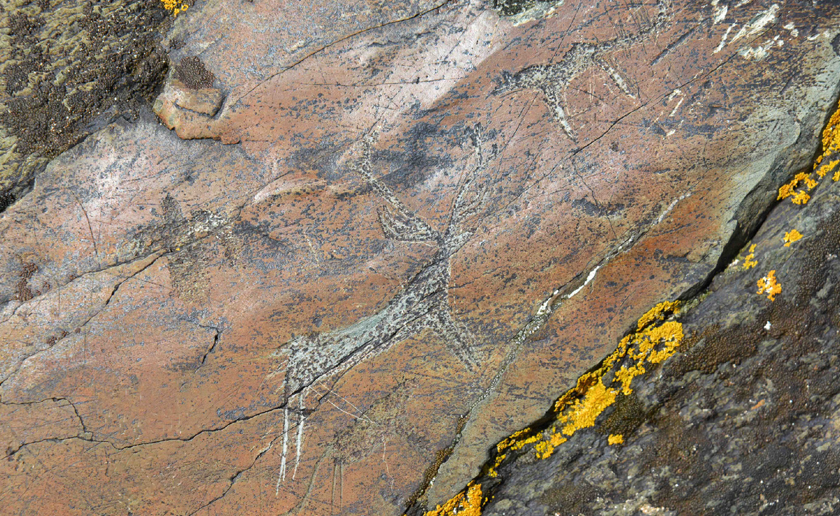 Фото Ольга Шадрина