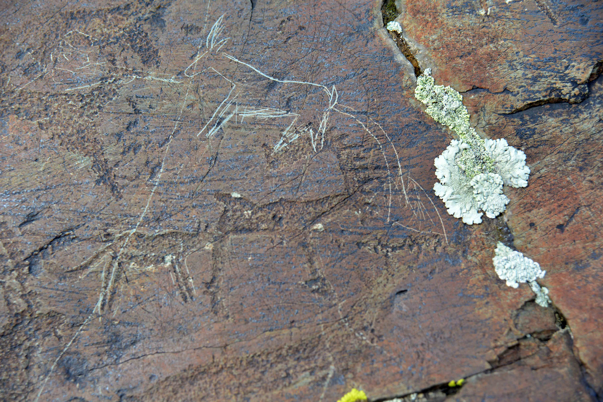 Фото Ольга шадрина