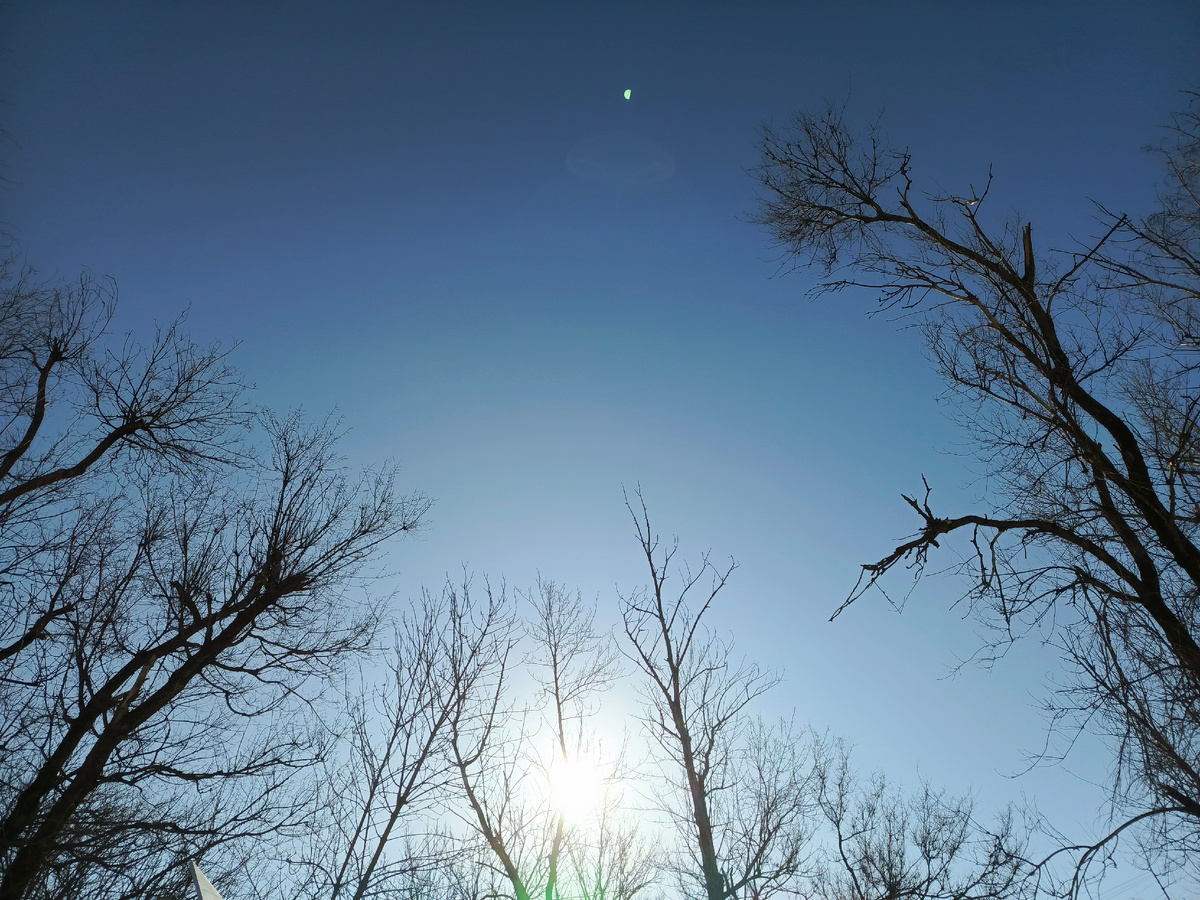 Весеннее солнце!