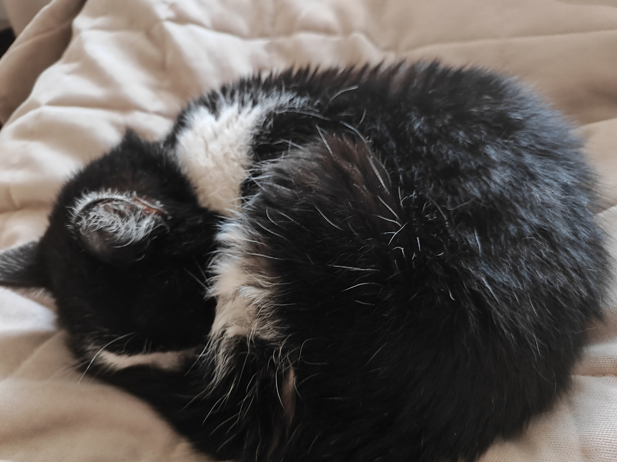 Лилит сегодня