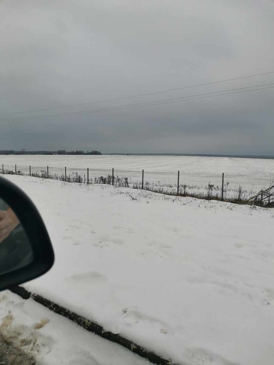 Весь снег, который мы встретили по дороге в Московской области