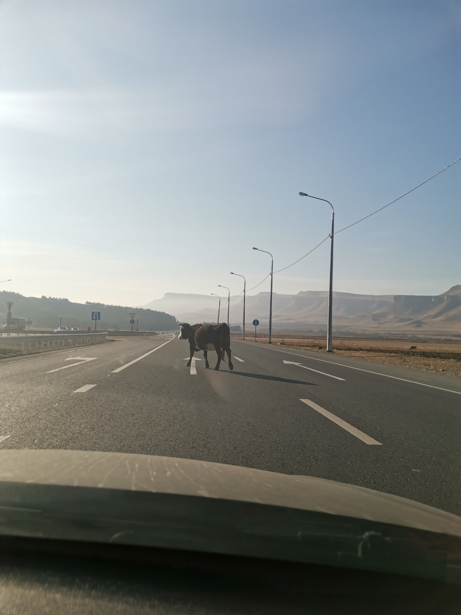 Ближе к месту