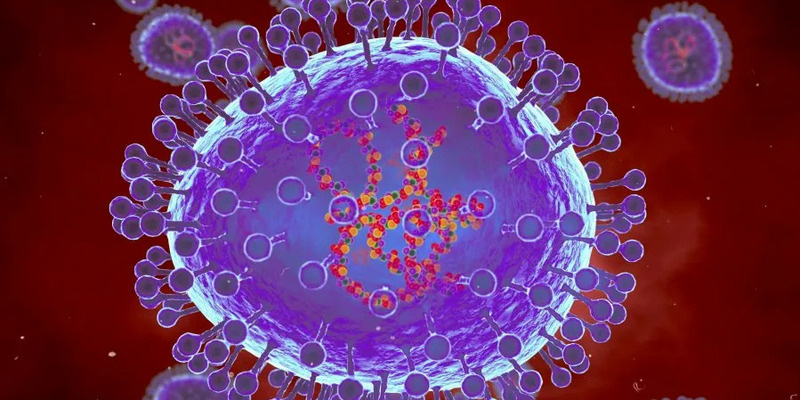 Метапневмовирус (HMPV)