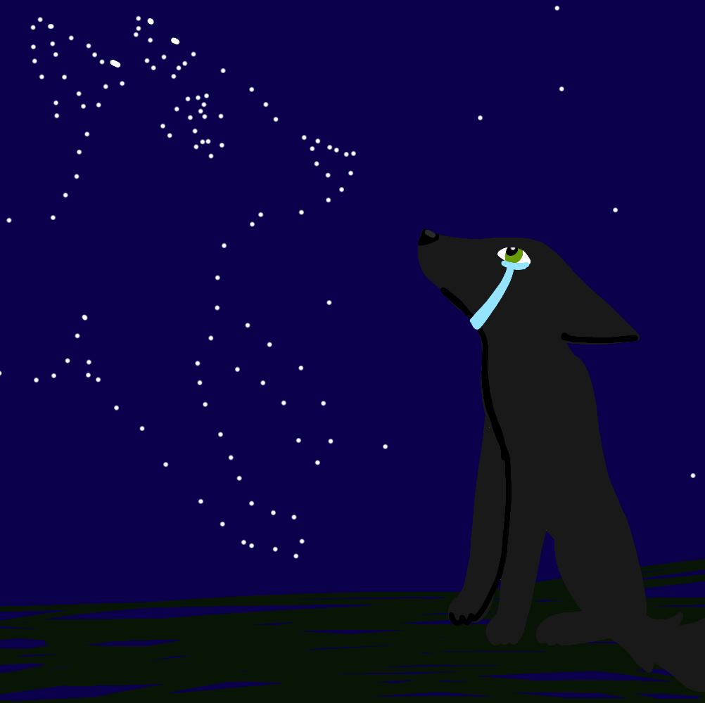 Тень и Тыковка. Грустный арт автора