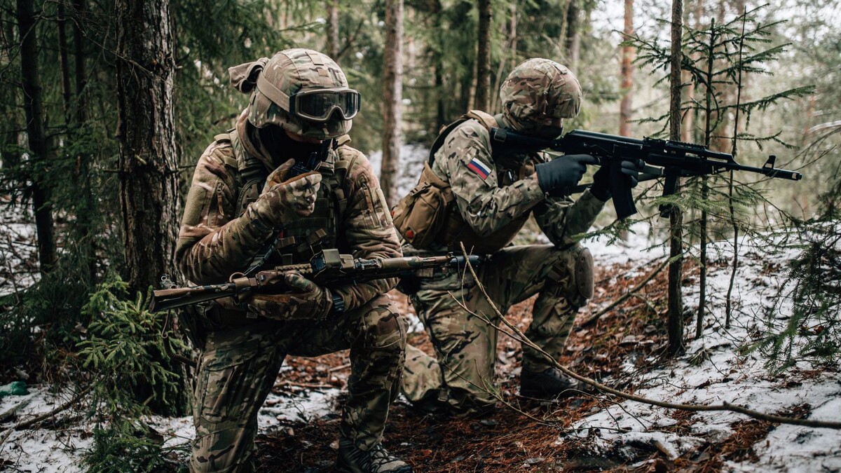    Фото: DZMITRY SCHAKACHYKHIN/Shutterstock/Fotodom