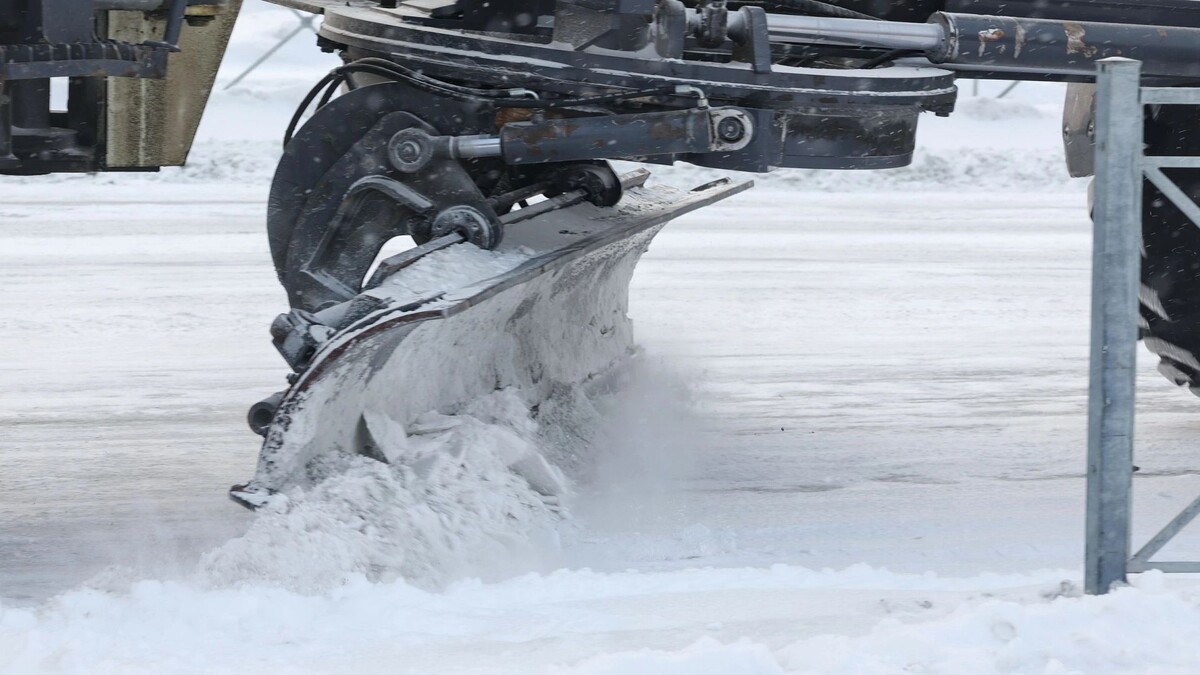    Фото: Андрей Ткачев/«Ямал-Медиа»