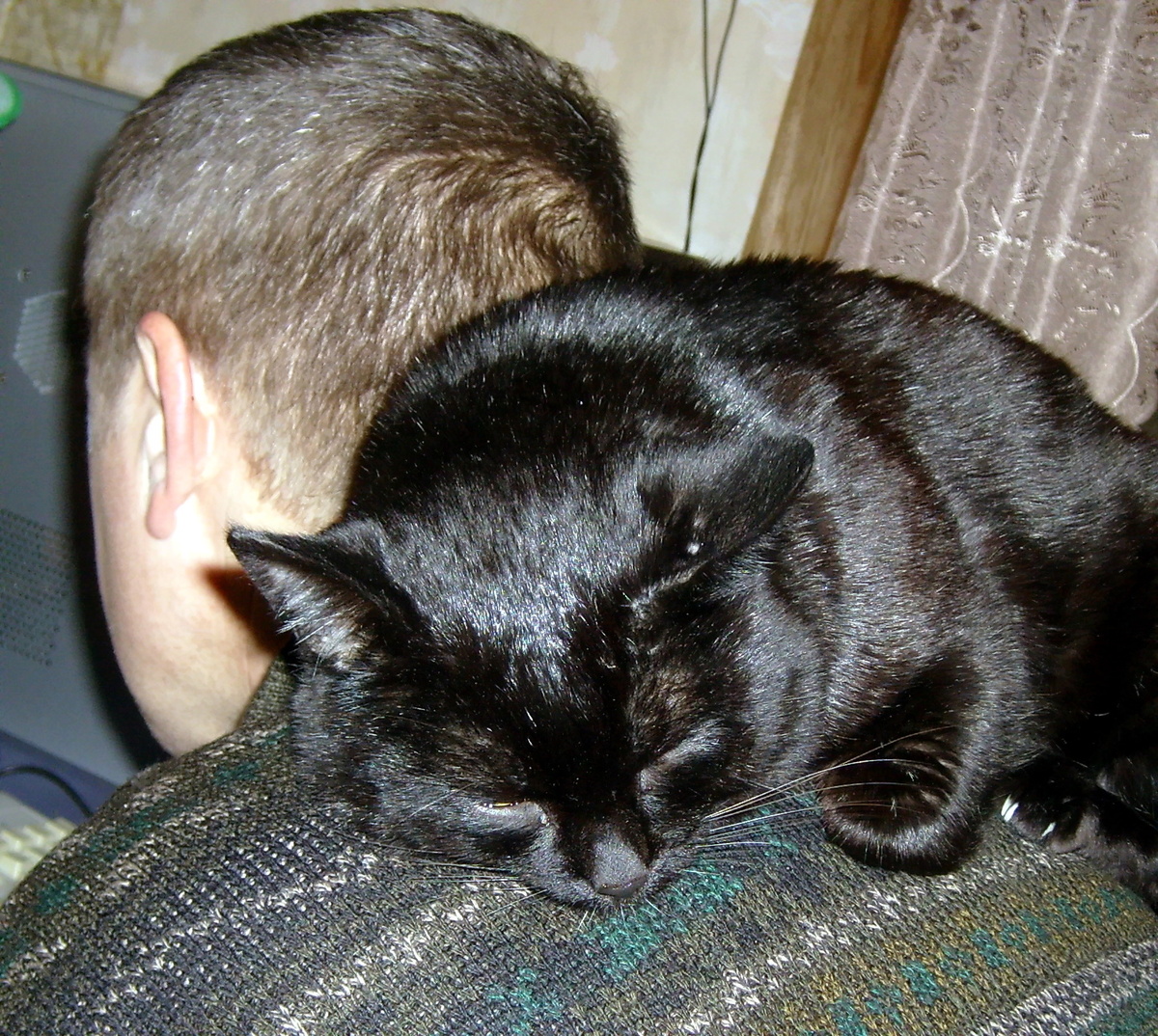 Лучшее место для сна)) Фото автора.