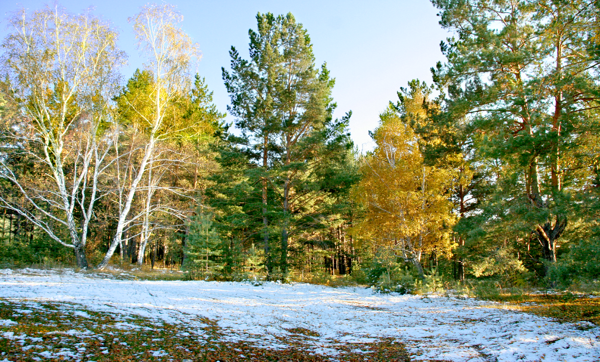 Фотография, стихотворение Василия Глуцкого