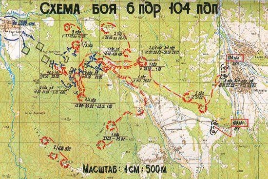 Фото из сети интернет 