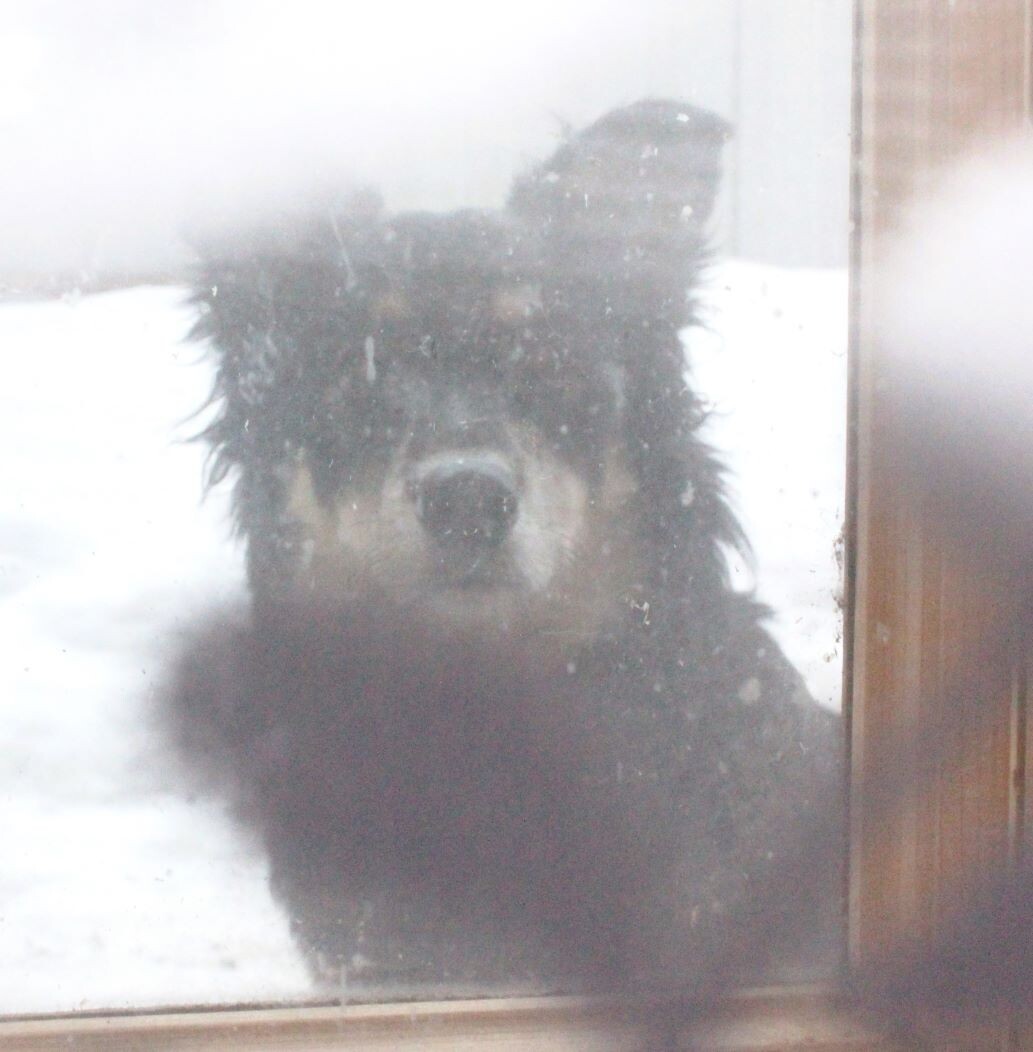 Пойдем гулять, чего дома сидишь!