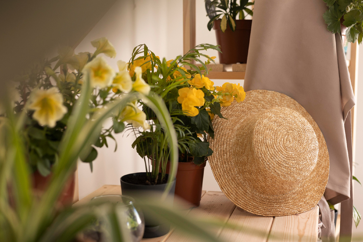 Источник: freepik.com