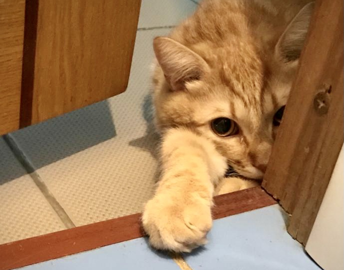 ТРИ анекдота. Часть-2