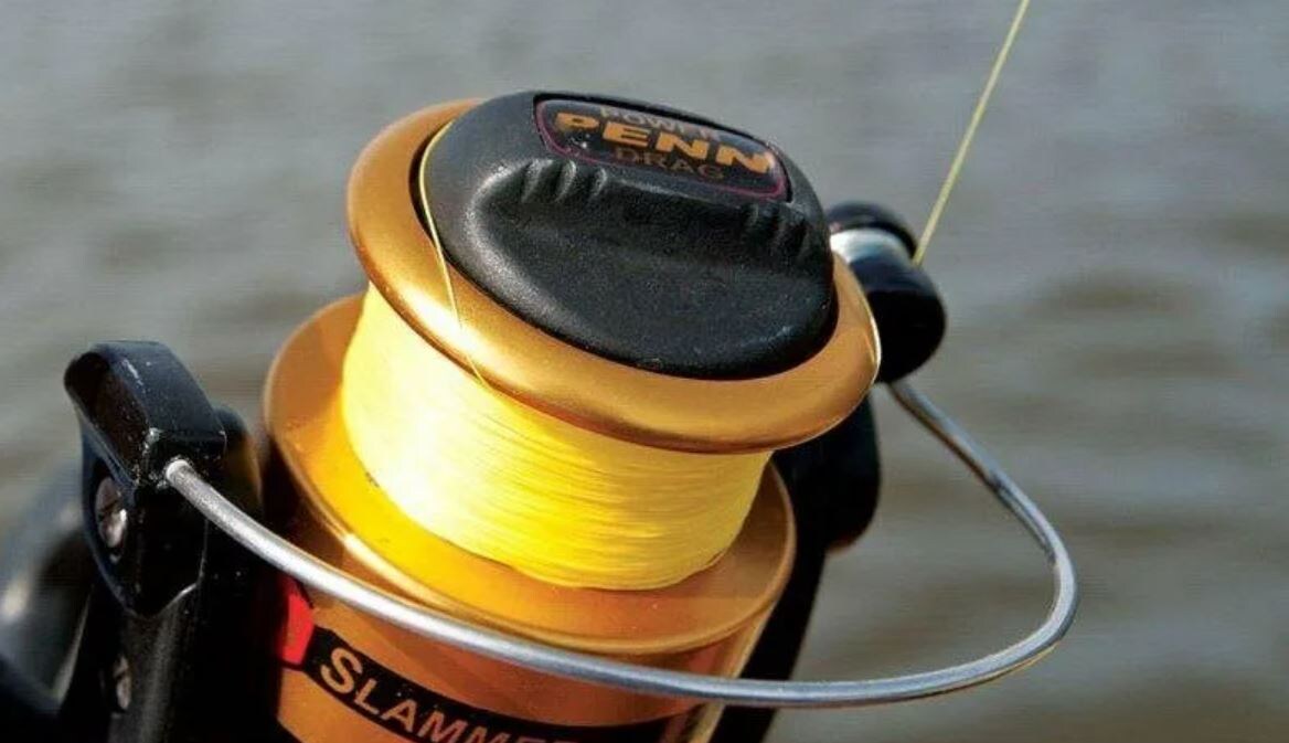 включили байтраннер – рыба спокойно берёт леску, не заметив подвоха