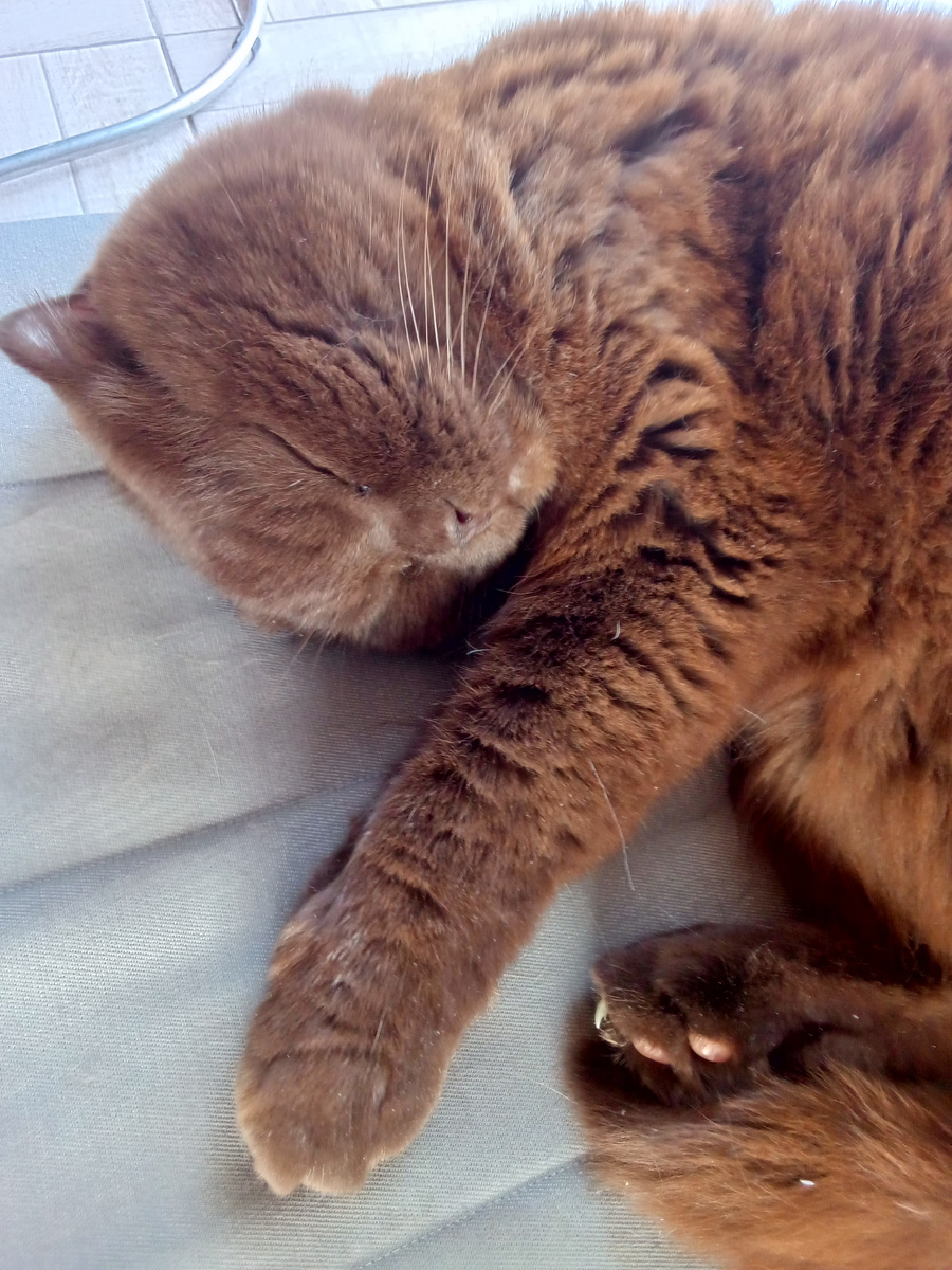 Мой Клайд. ❤️