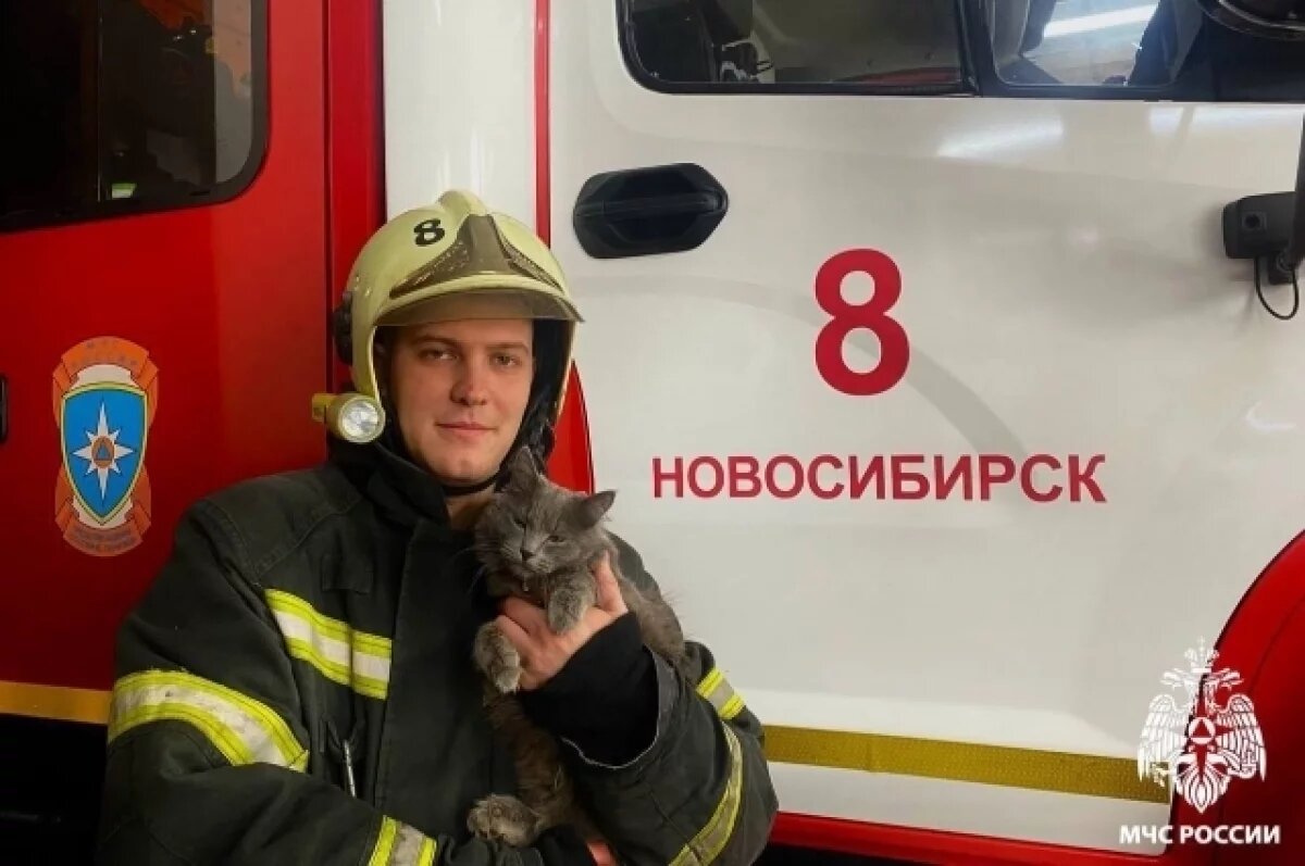    Пожарные показали кошку Ларису, которая помогает им в работе в Новосибирске