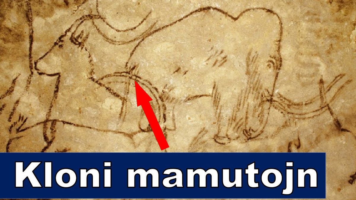    Искусство первых людей: загадки пещеры Бломбос