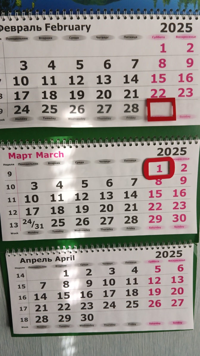 Фото автора.