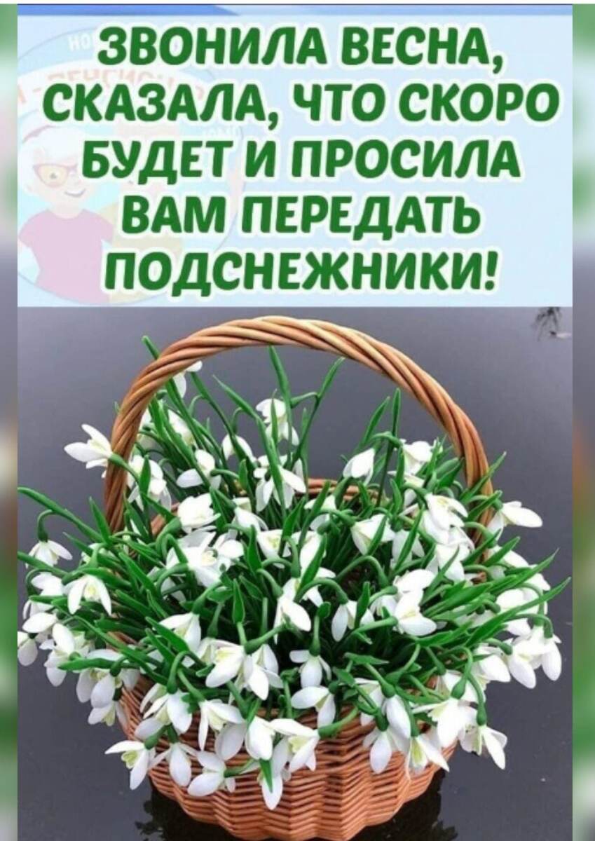 Пересланное фото.