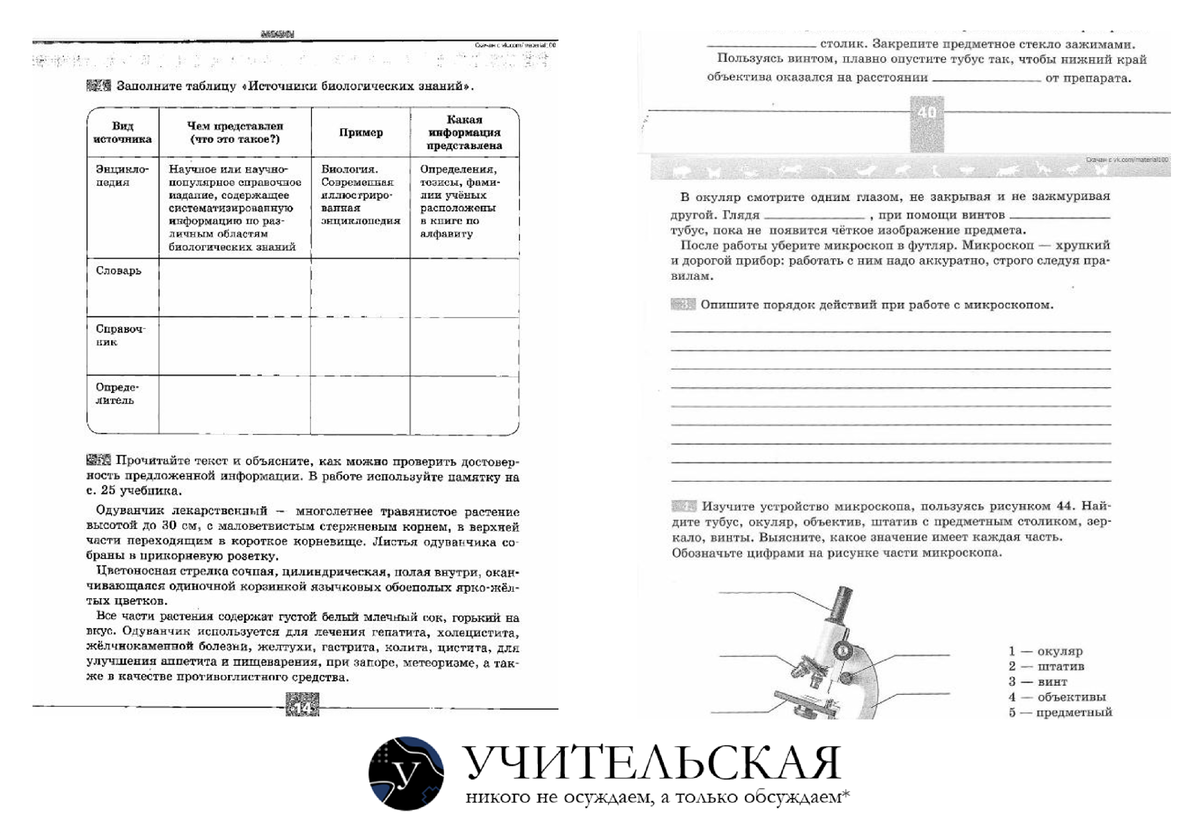 Да-да, вот она, та самая проблема. Я про цвет сканированного документа. К содержанию вопросов нет!