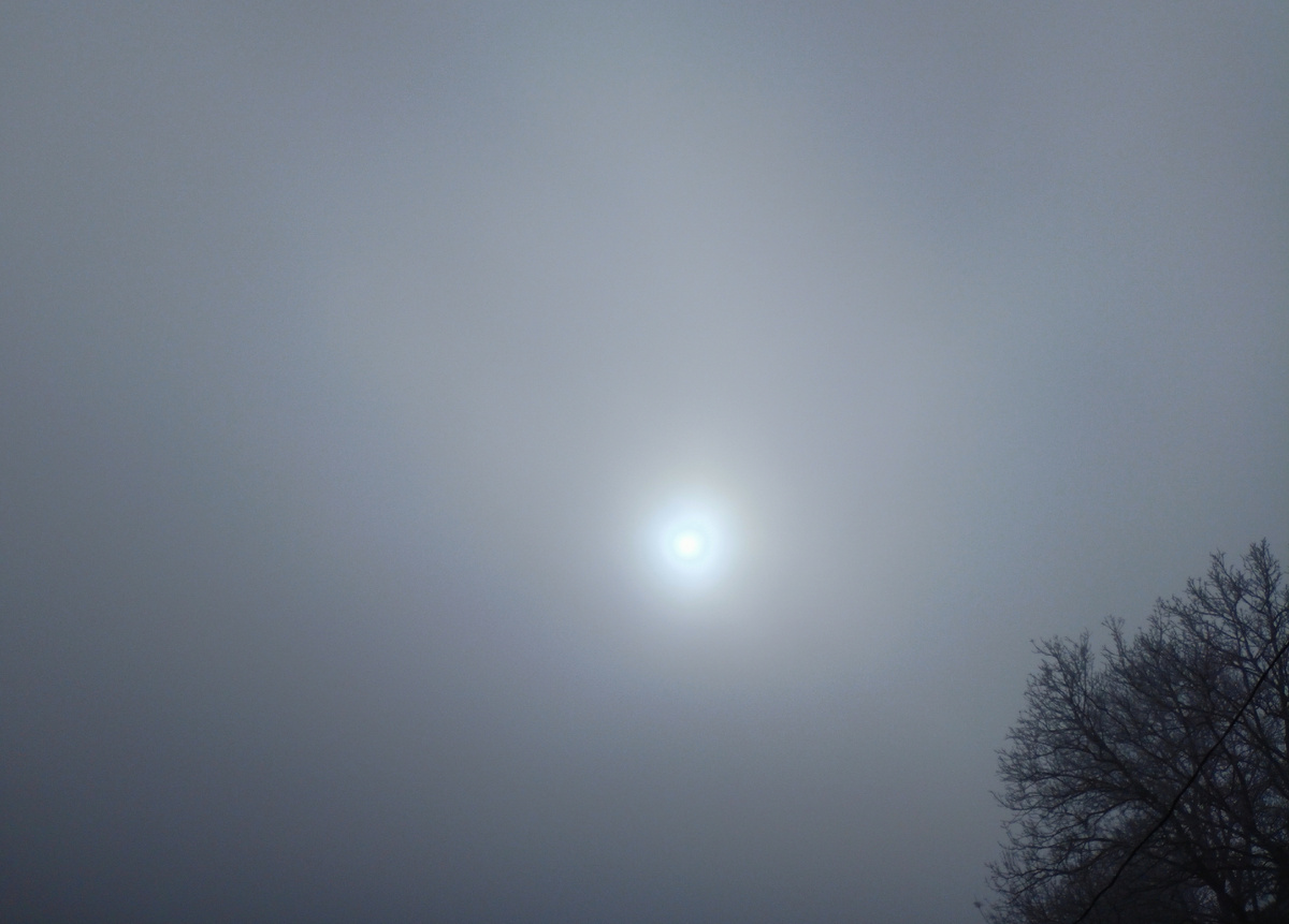 Фото автора: солнце через густой туман (Дагестан, январь 2024)