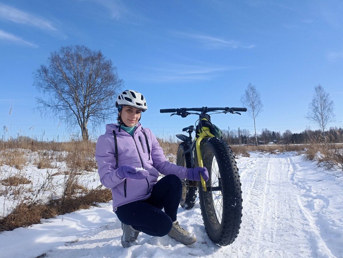 Берёзы у дороги