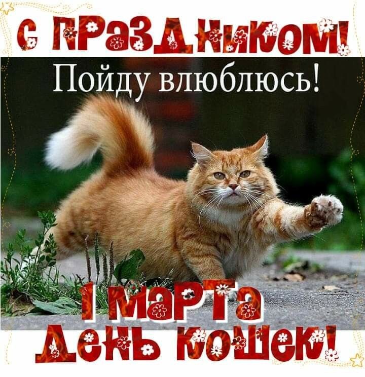 фото: ru.pinterest.com, 3d-galleru.ru