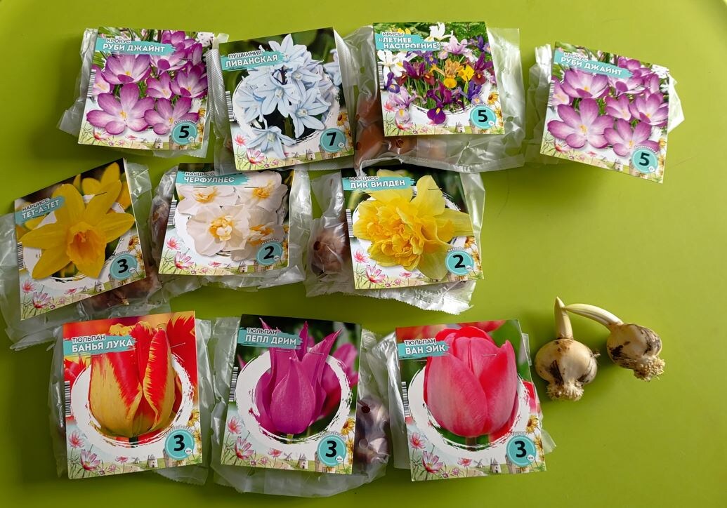 С ноября до февраля хранила в холодильники. 