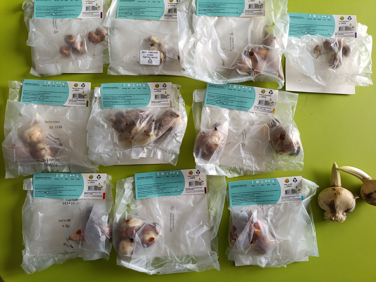 Фотография сделана в феврале, когда достала их из холодильника.