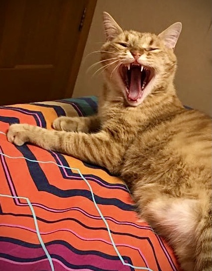 ТРИ анекдота. Часть - 3