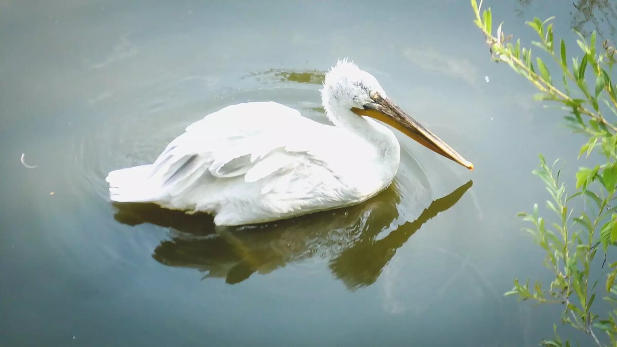     Источник: 1MI