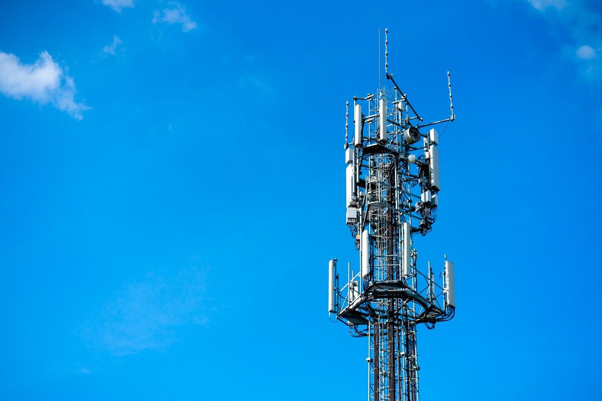    Фото: brian.martin.photographer / Shutterstock.com