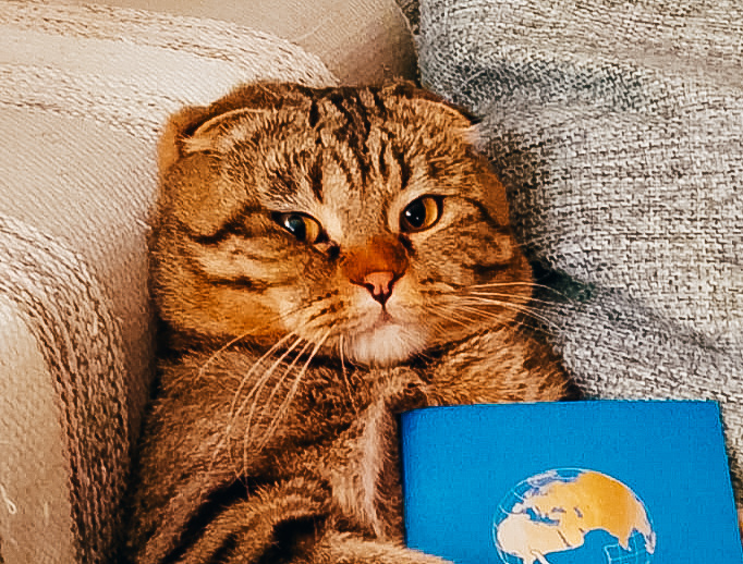 Воскресная сказка от Феди.)