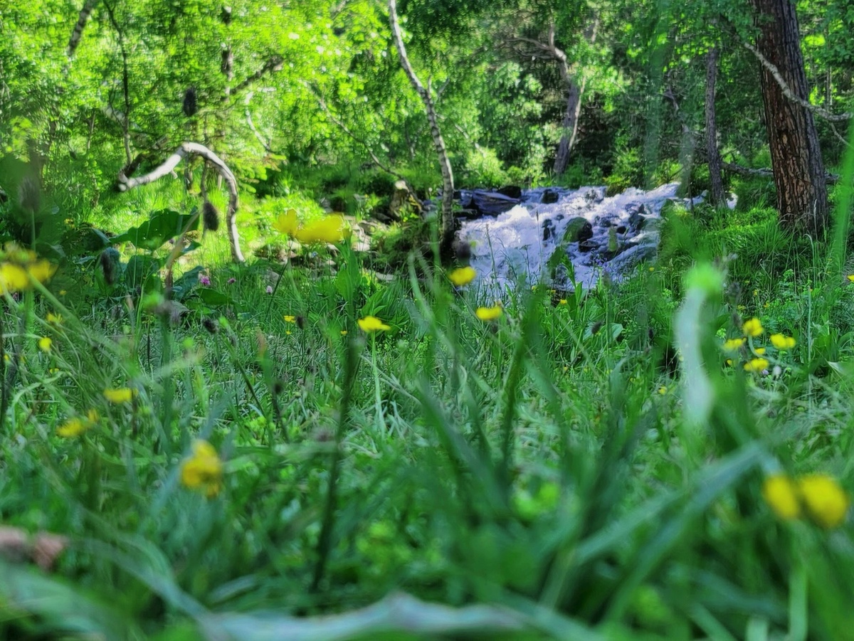 Дорога к Софийскому леднику. Архыз