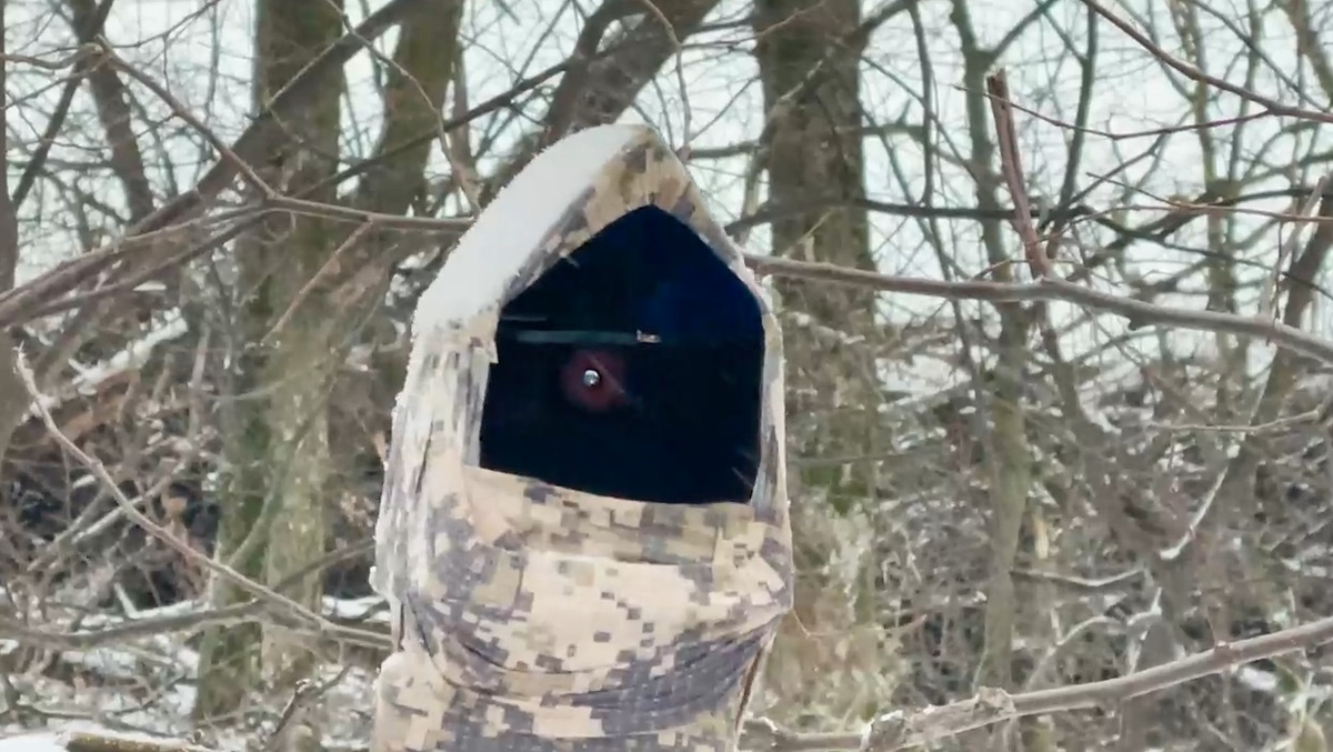    Изображение @DobroKor 