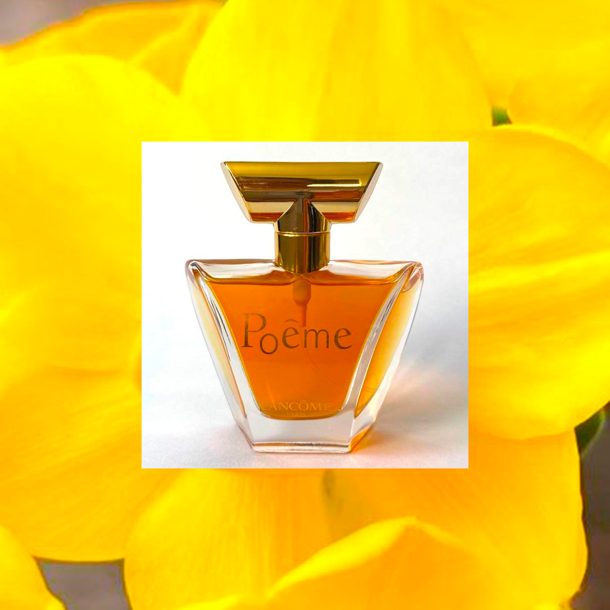 Dolce Vita от Диор, коллаж автора.