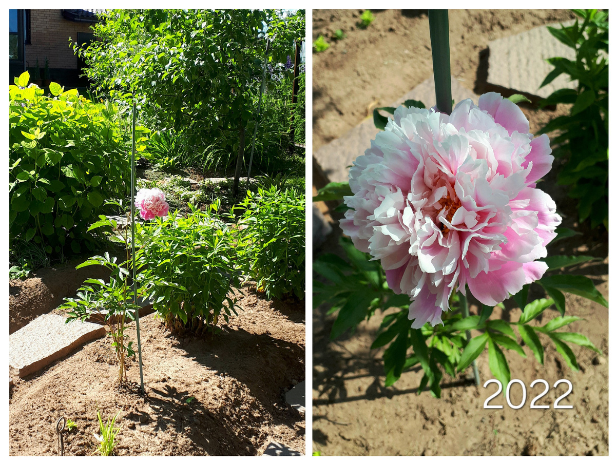 Он же через год после посадки
