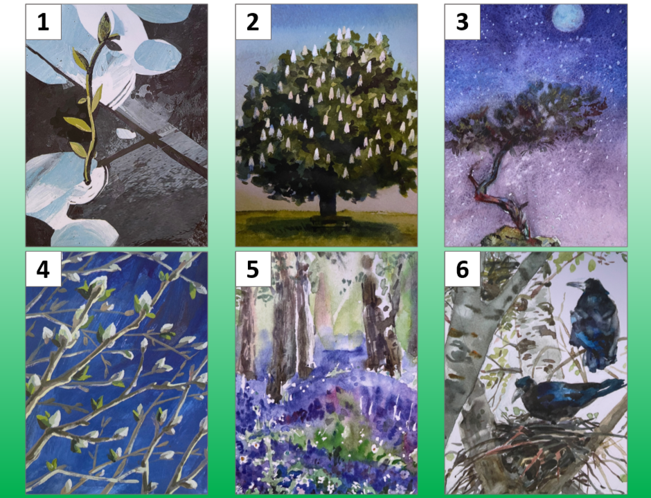 6 весенних деревьев из колоды «Древо жизни», авт. Л. Кононова. Коллаж мой