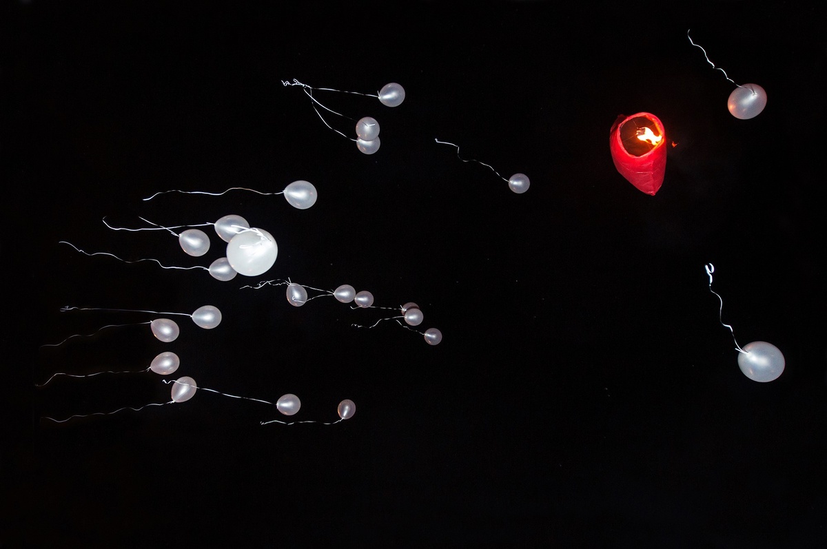  «По – любви». Фотография Владислава Заруднего, занявшая 1 место на выставке «Случайный кадр»