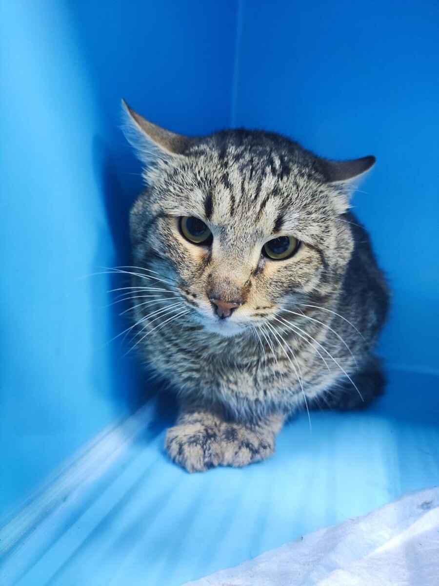 Когда перестанет бояться